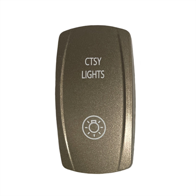 Actuator Switch Cover Courtesy Lights - Silver