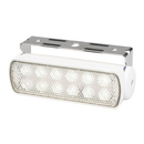 Sea Hawk LED flood light