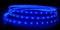 Light Strip Blue waterproof 24V 5 metre