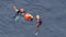 Life Cell - Trawlerman 6 Person